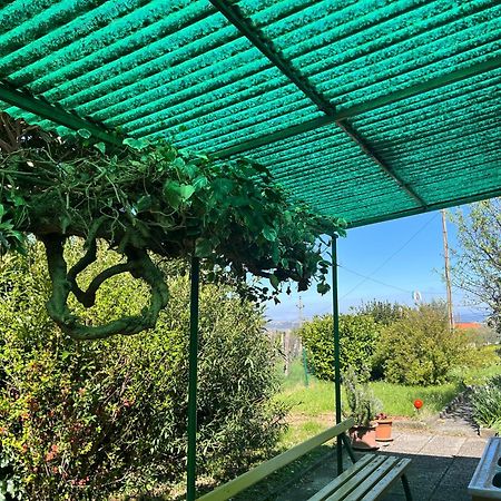 Apartma Korelc Capodistria Esterno foto