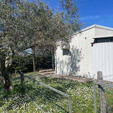 Apartma Korelc Capodistria Esterno foto