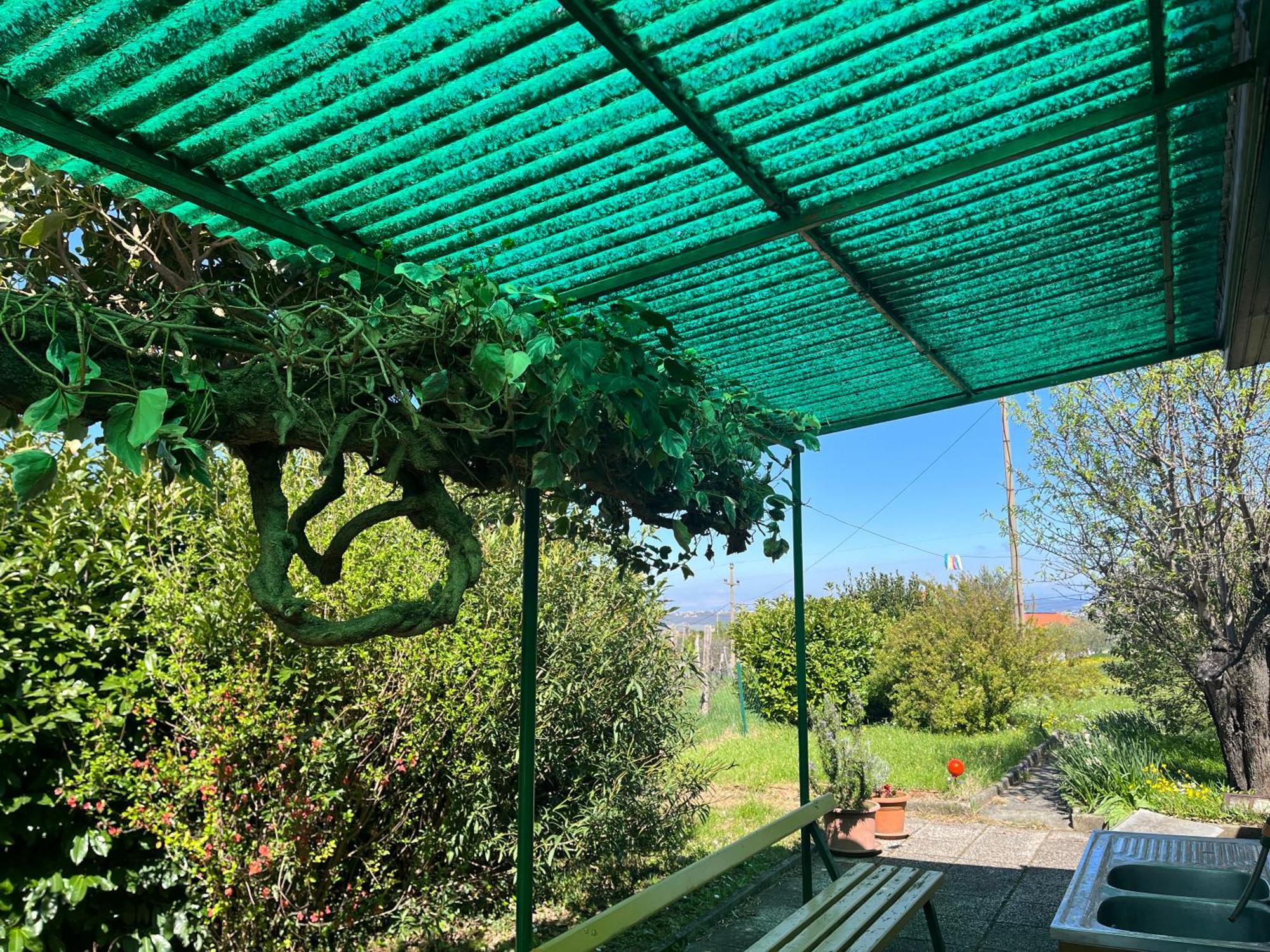 Apartma Korelc Capodistria Esterno foto