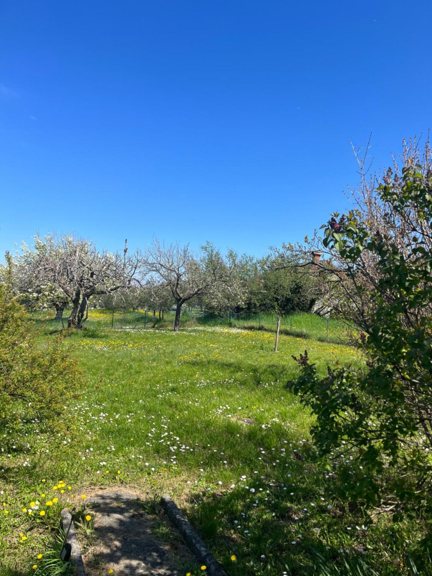 Apartma Korelc Capodistria Esterno foto