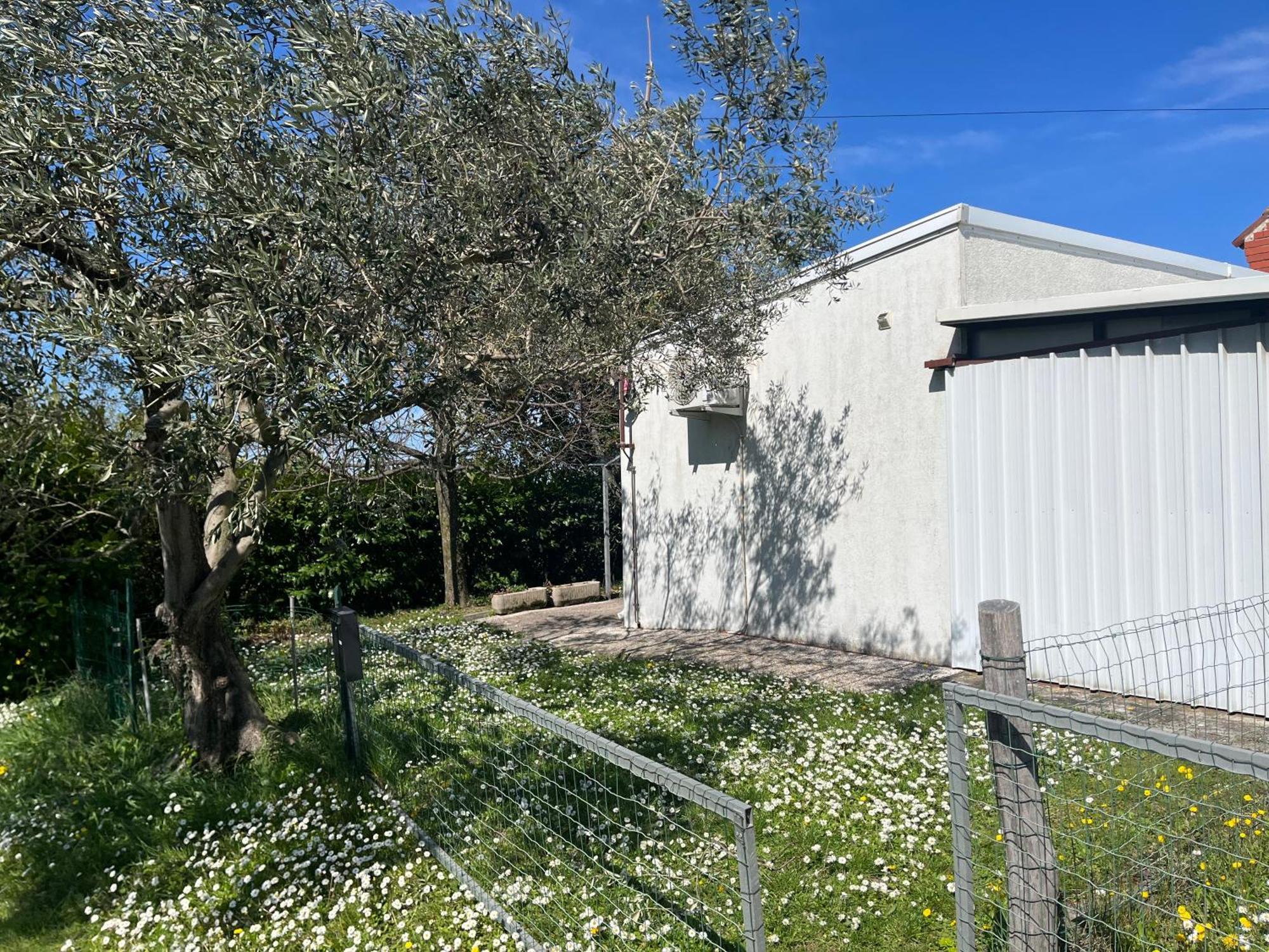 Apartma Korelc Capodistria Esterno foto