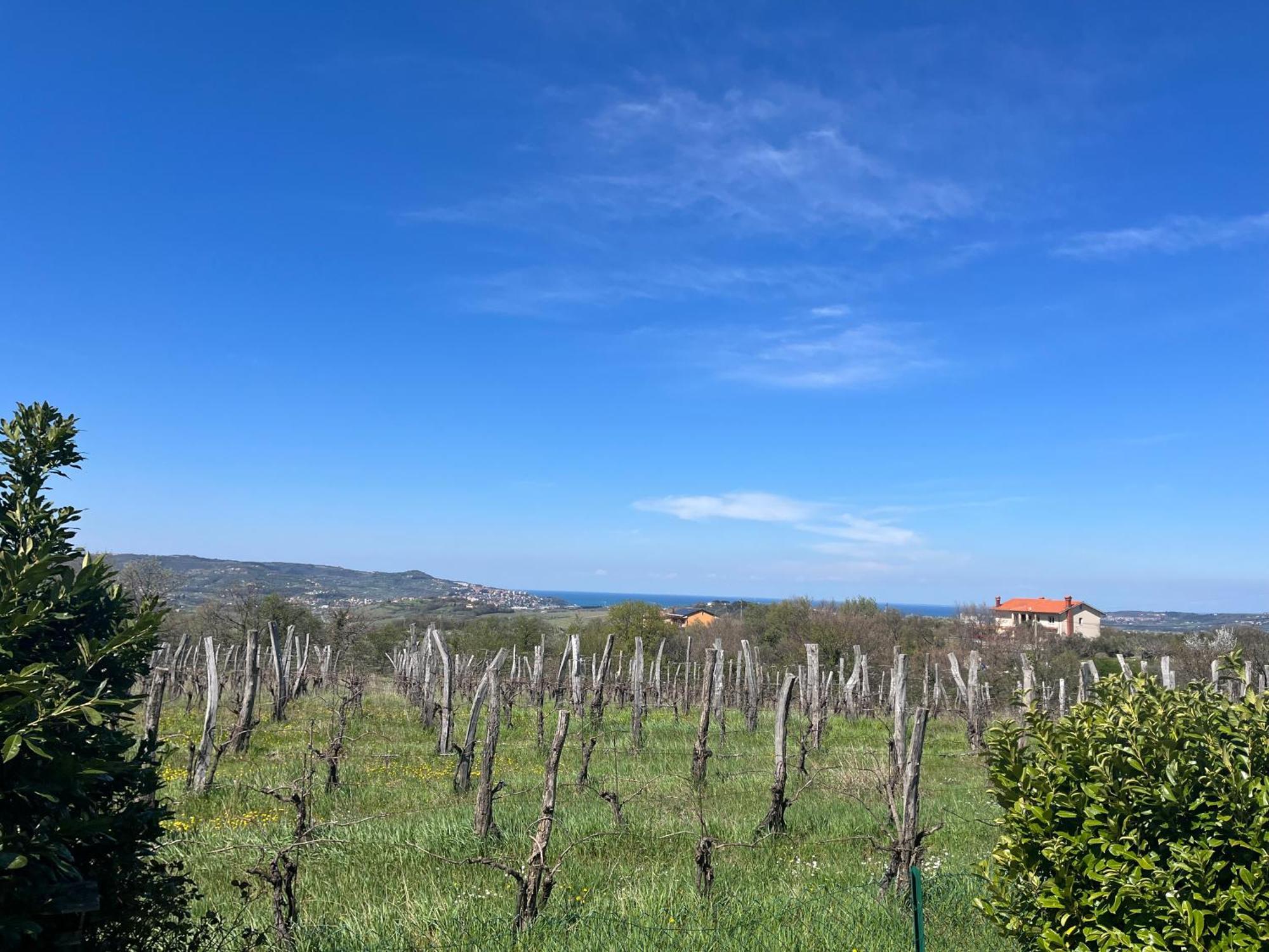 Apartma Korelc Capodistria Esterno foto